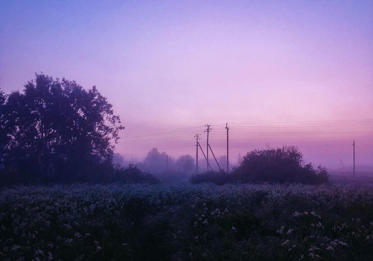 开云官方网站:开启数字生活的新入口